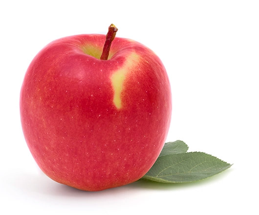 ambrosia pomme Ambrosia