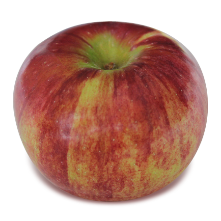 redcort